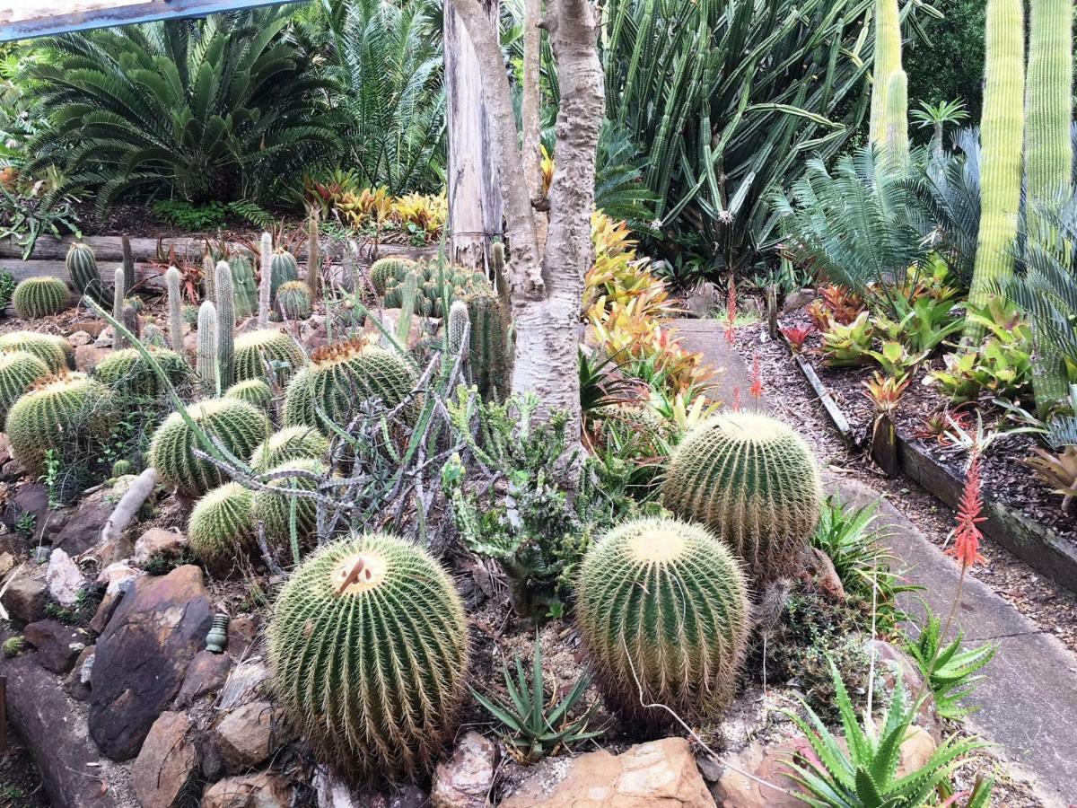 Ancient Gardens Guesthouse & Botanical Gardens Eudlo Exterior photo